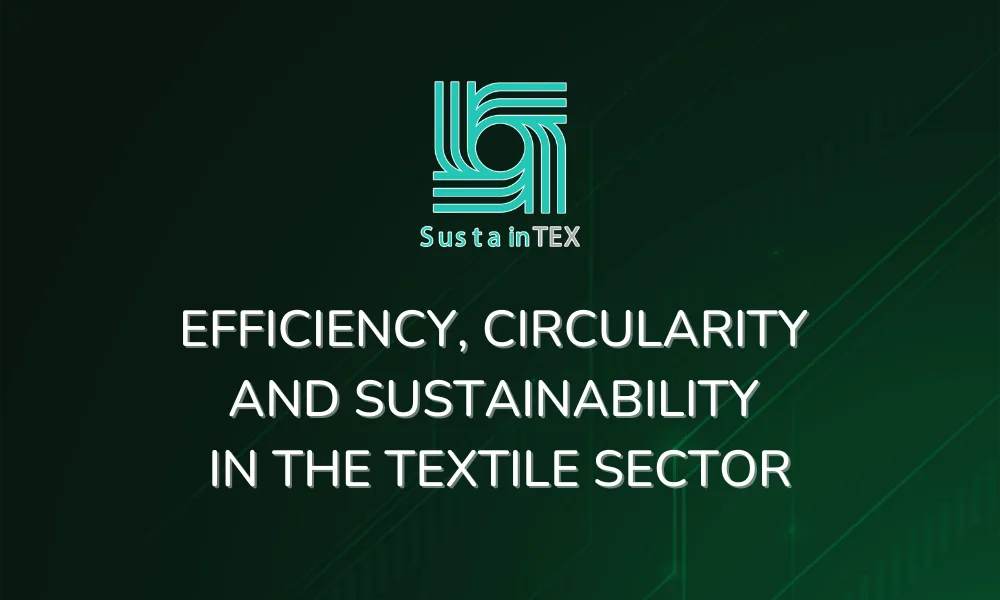 estudi sustaintex eng estudi tex-r-hub versió english
