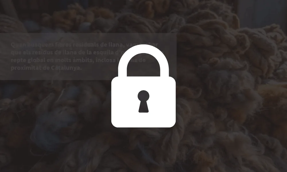 llana tagamanent innovation in circular and biobased textiles masterclass resum