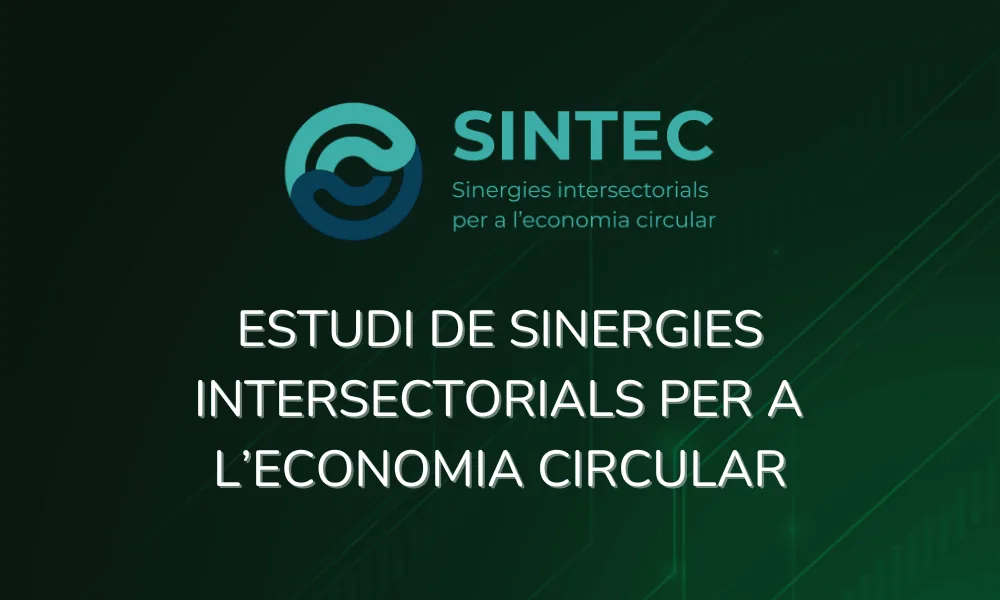 estudi sintec cat estudi tex-r-hub