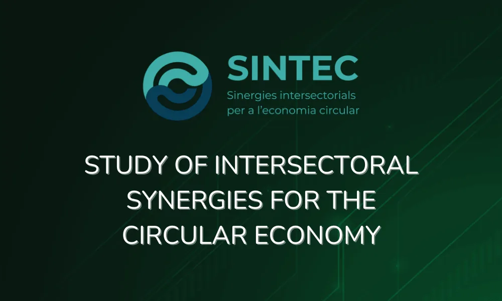 estudi sintec en estudi tex-r-hub versió english